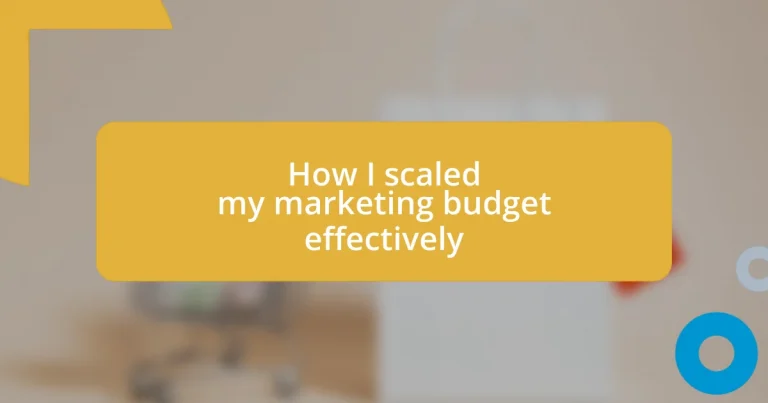 How I scaled my marketing budget effectively